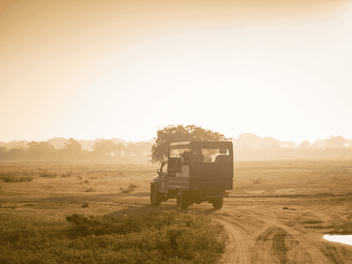 Extended Evening Safari Wasgamuwa